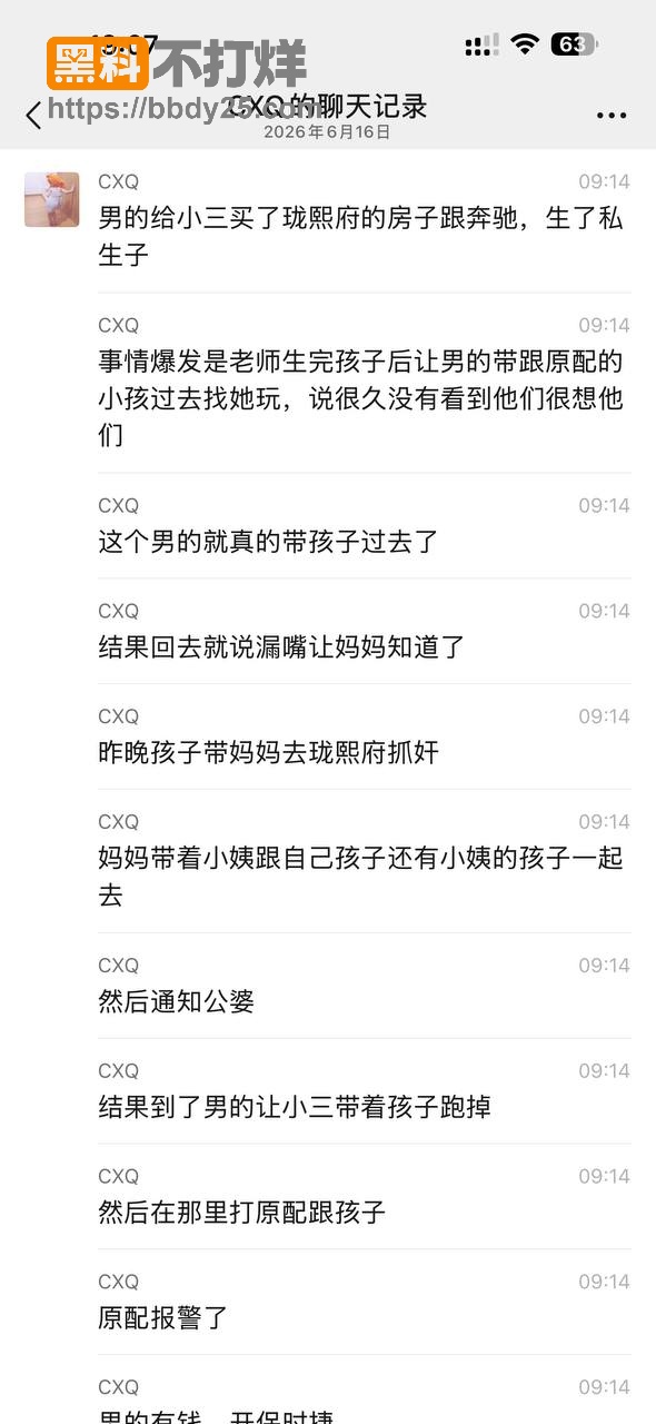 潮汕本地大瓜4