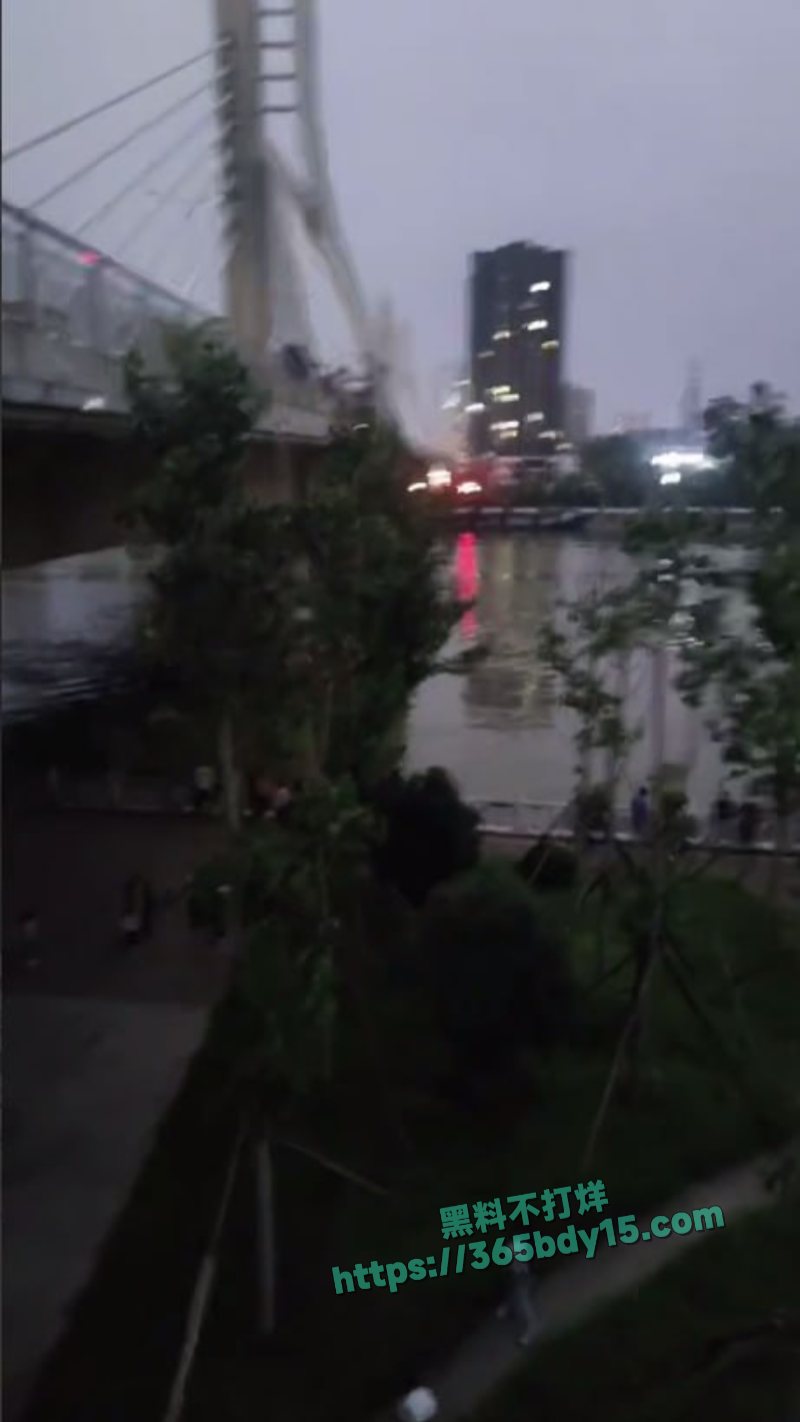 周口市沈丘网红桥跳河事件 8