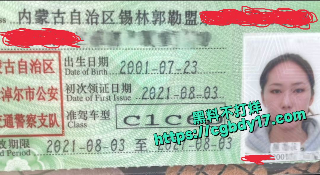 内蒙古锡林郭勒盟东乌旗拉布珠 后续1