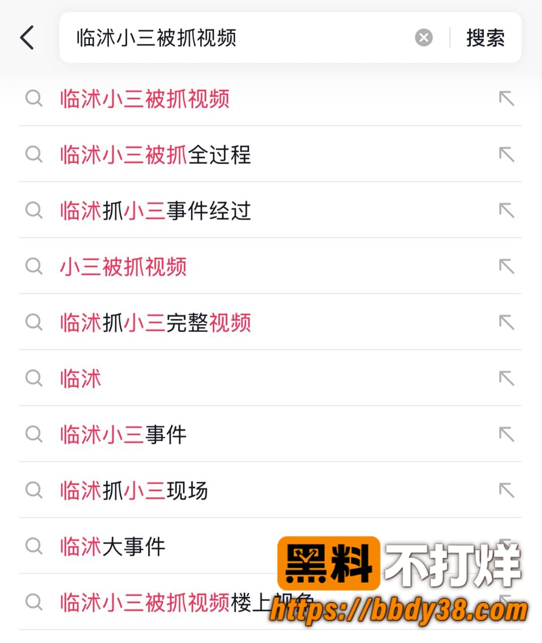 临沂临沭街头抓小三11