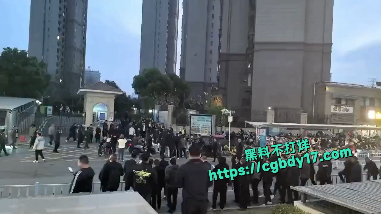 海昌天澜，黑箱操作换物业，打起来了3