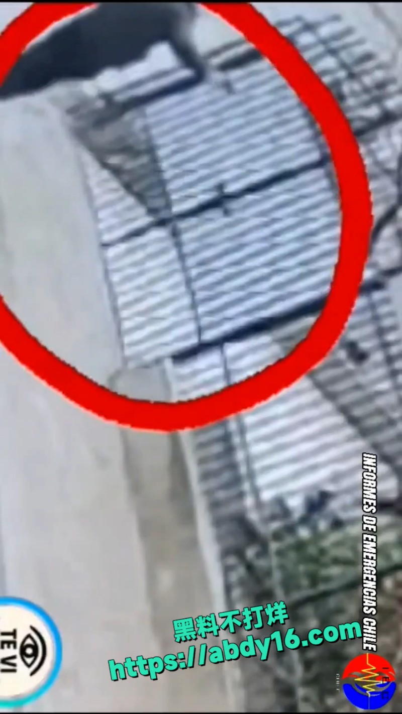 中国友好战略伙伴 33