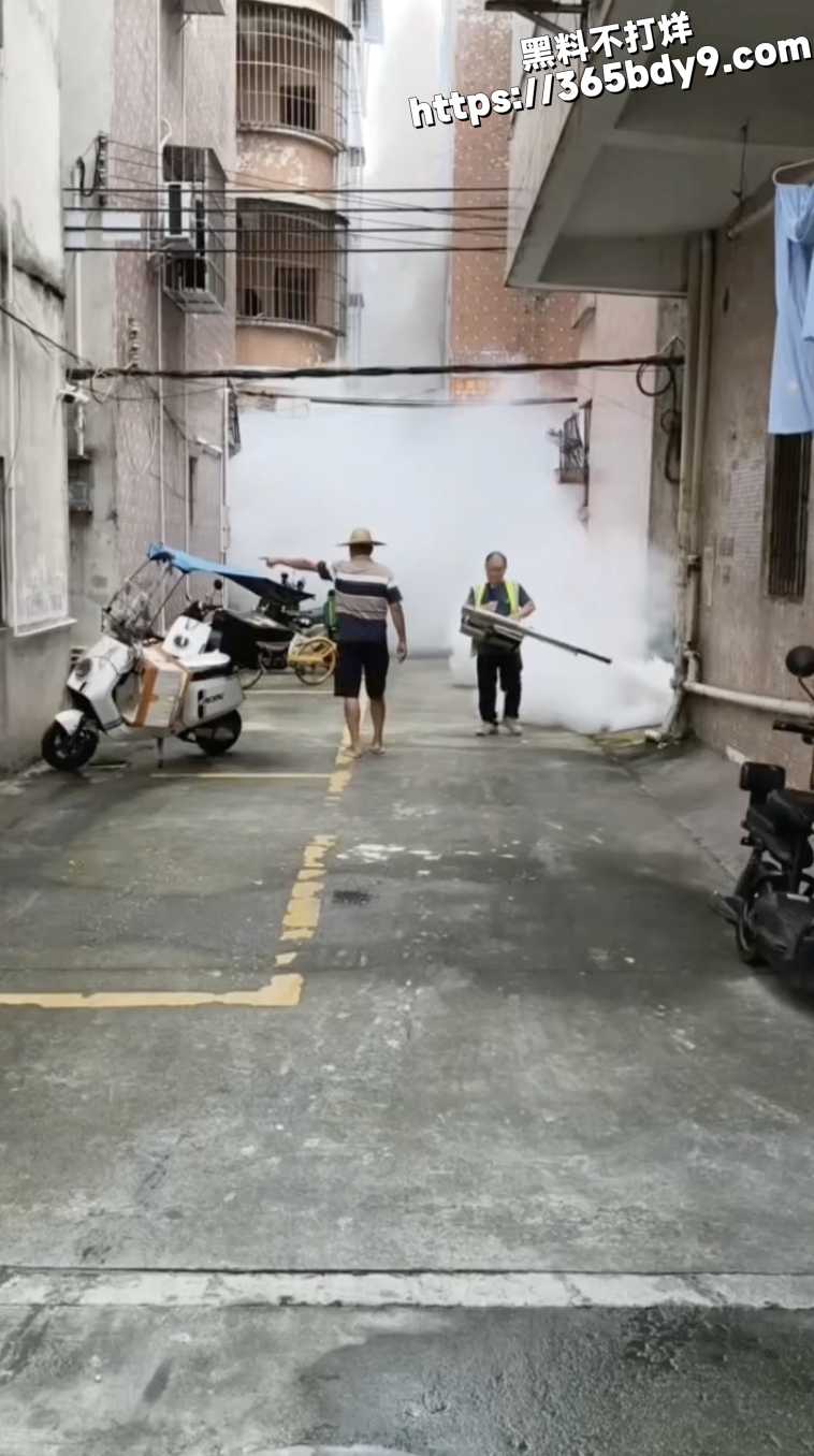 广州基孔肯雅热5