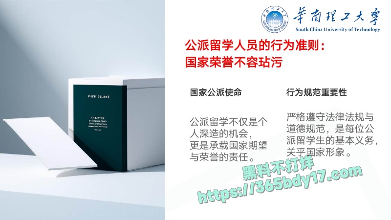 华南理工68页PPT曝光61