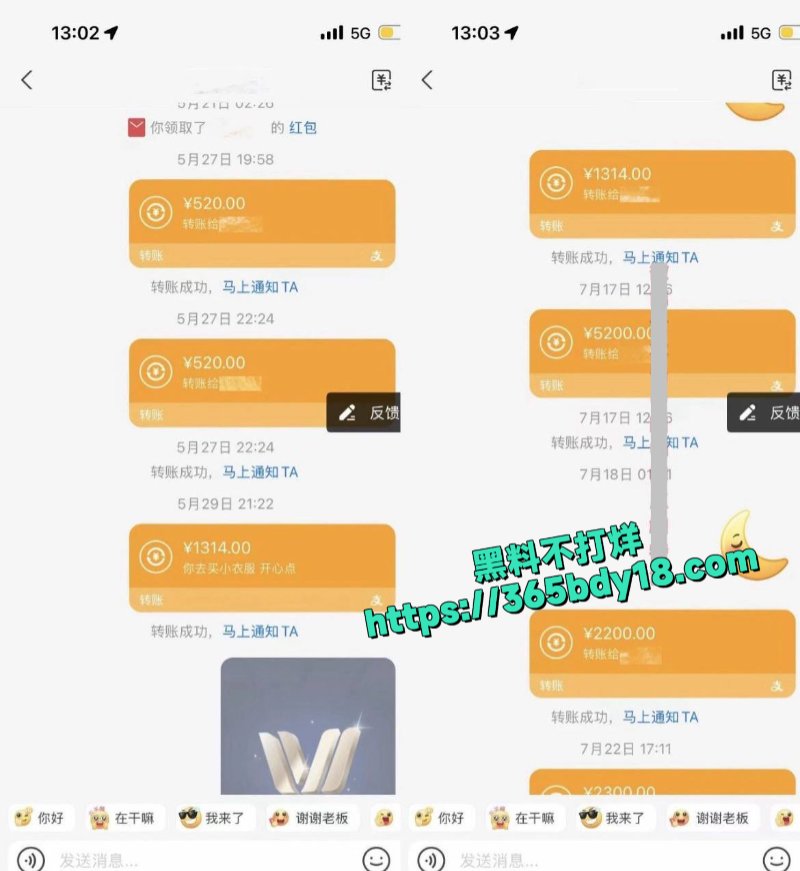 女网红鸢饱3