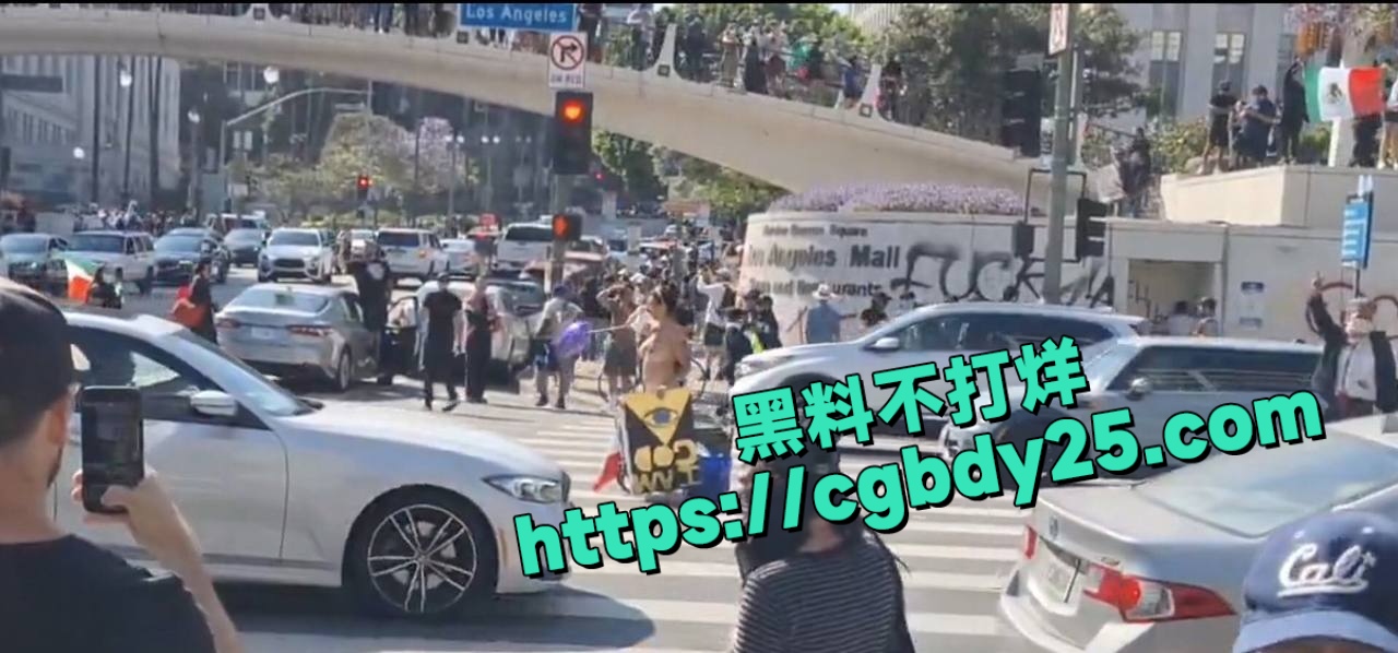 美国洛杉矶大暴乱多名中国留学生被洗脑乱入被白左当炮灰利用18