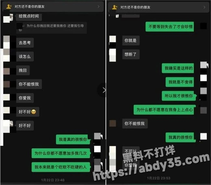 澳洲留学生陈某某脚踏两船捞金实录29