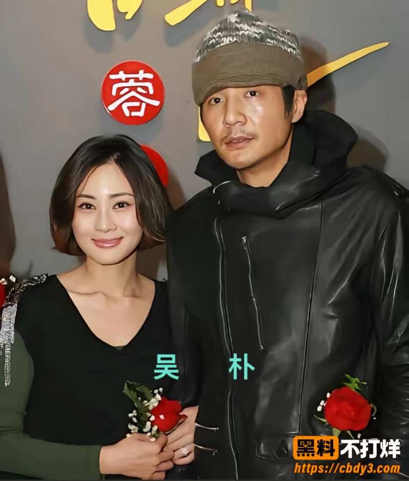 歌手朴树出轨演员王子文20