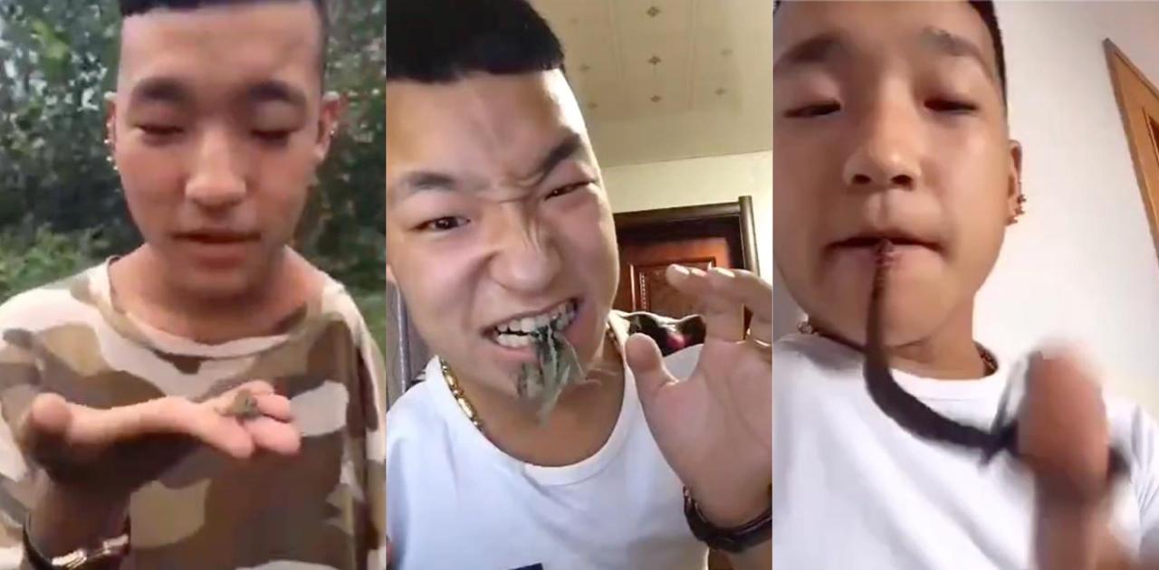 独臂胜哥快手早期吃播震撼全网 生吞蛇头吃屎喝尿啃癞蛤蟆黄鳝 极限狠活炸裂