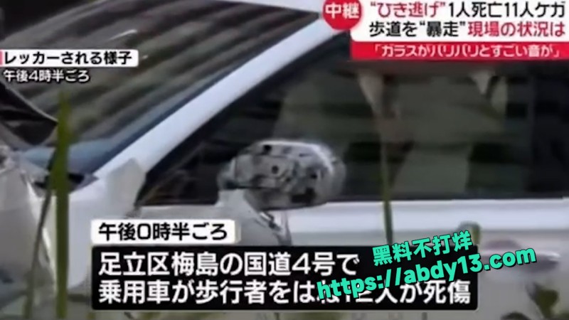 东京撞死11人 9