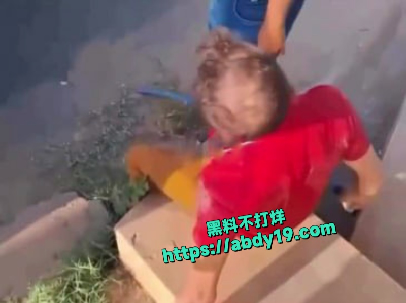 马萨诸塞州街头女子拦车捉奸 4