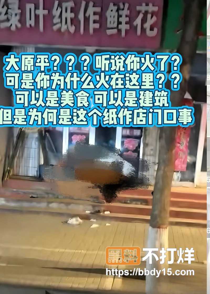 山西忻州原平绿叶纸作鲜花店5