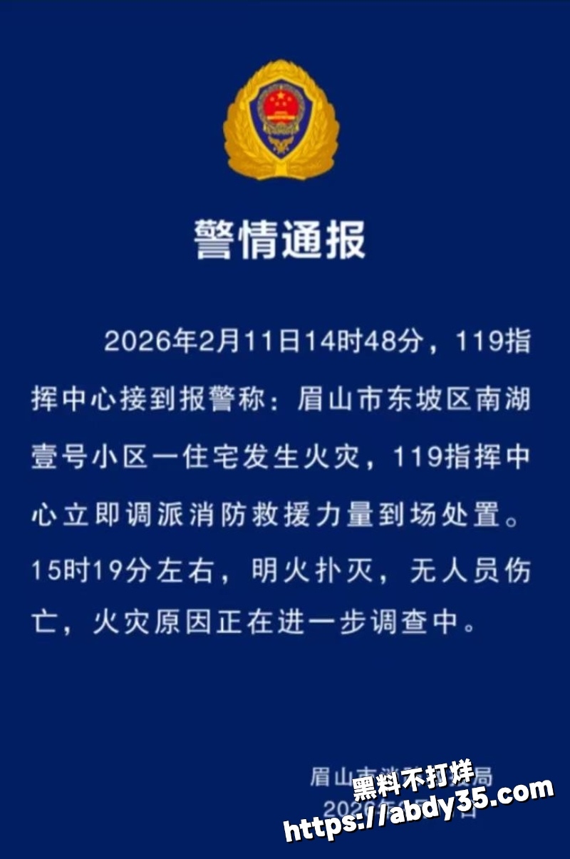 四川眉山南湖壹号小区火灾现场视频曝光4