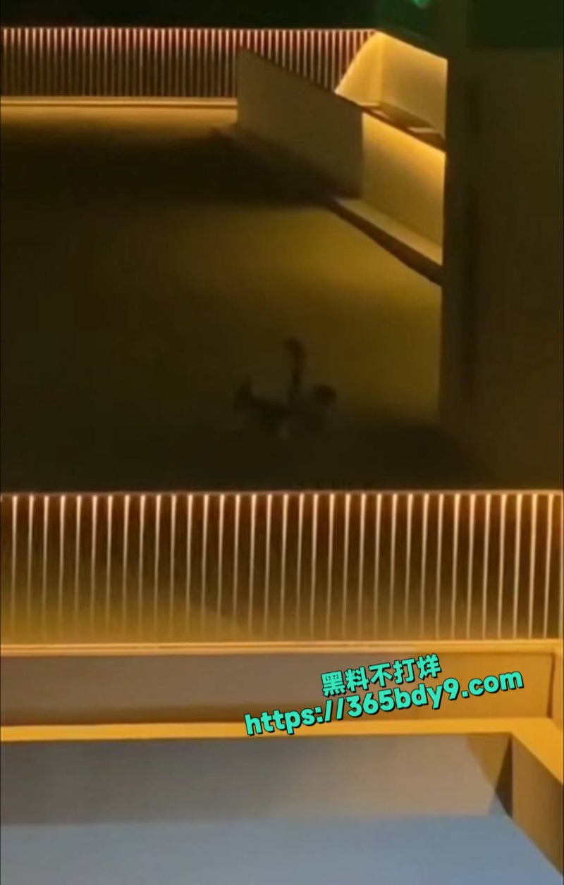 在楼顶做爱被偷拍3