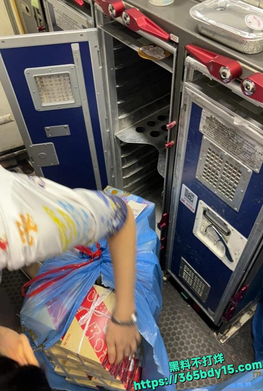 不爱飞的海燕空姐私拍 17.
