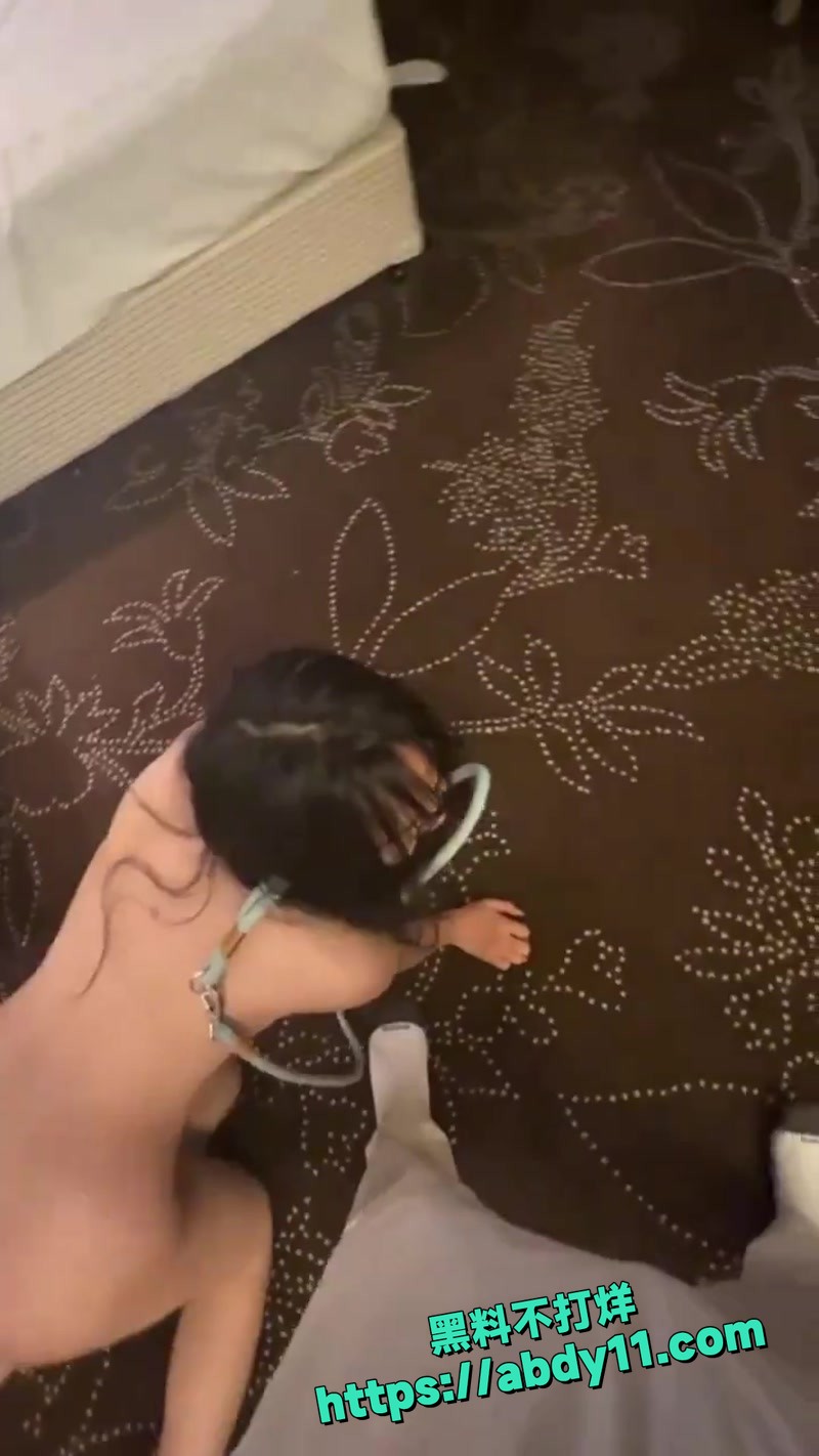 每日大赛遛狗要牵绳2