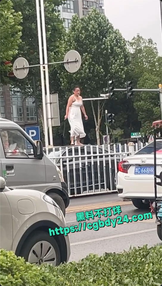 河南 洛阳 多段女子在机动车道上持械打砸多辆车的视频引发关注 6