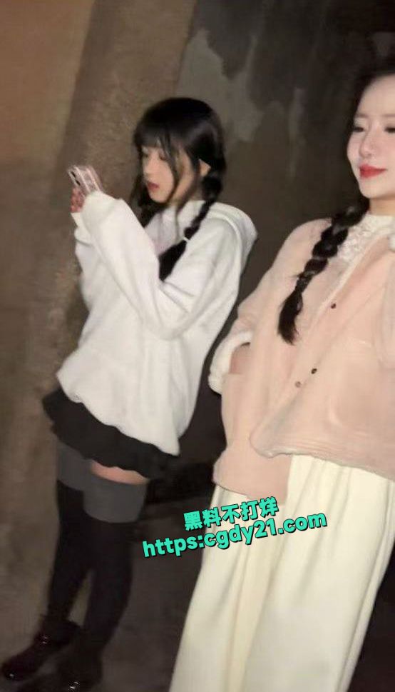 淳朴的乡村气息又出现了 五彩斑斓的鸡3