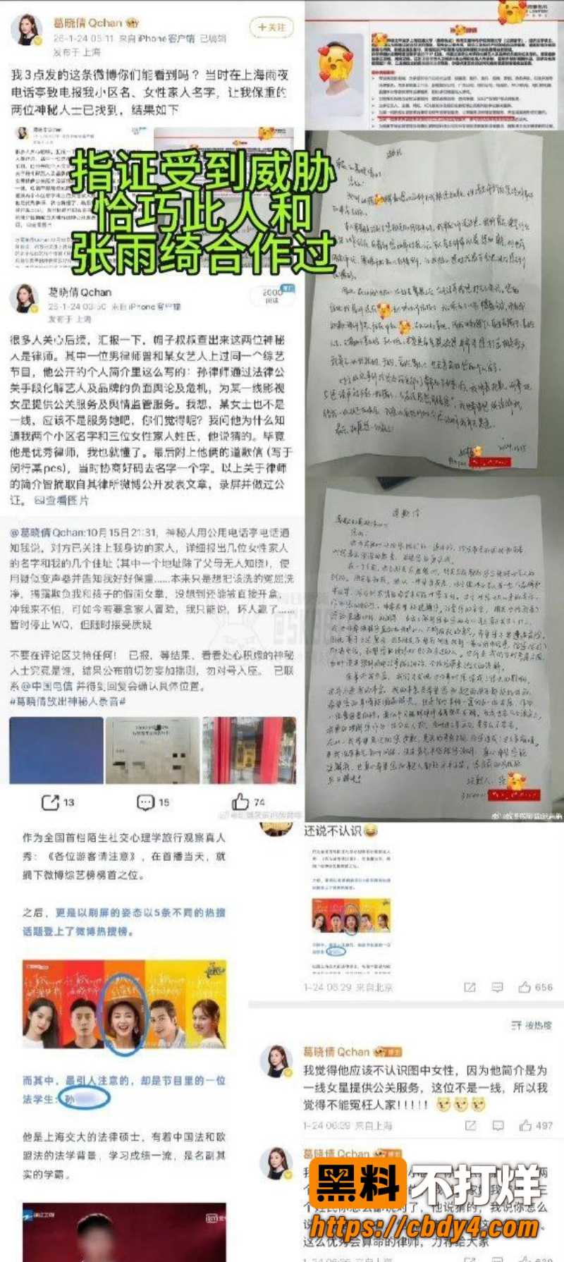 张雨绮代孕黑料 32