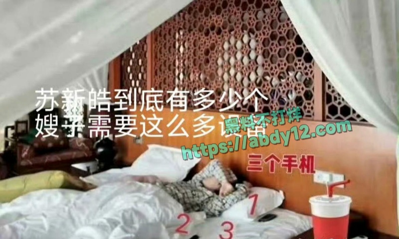 时代峰骏顶流小鲜肉苏新皓私联粉丝 17