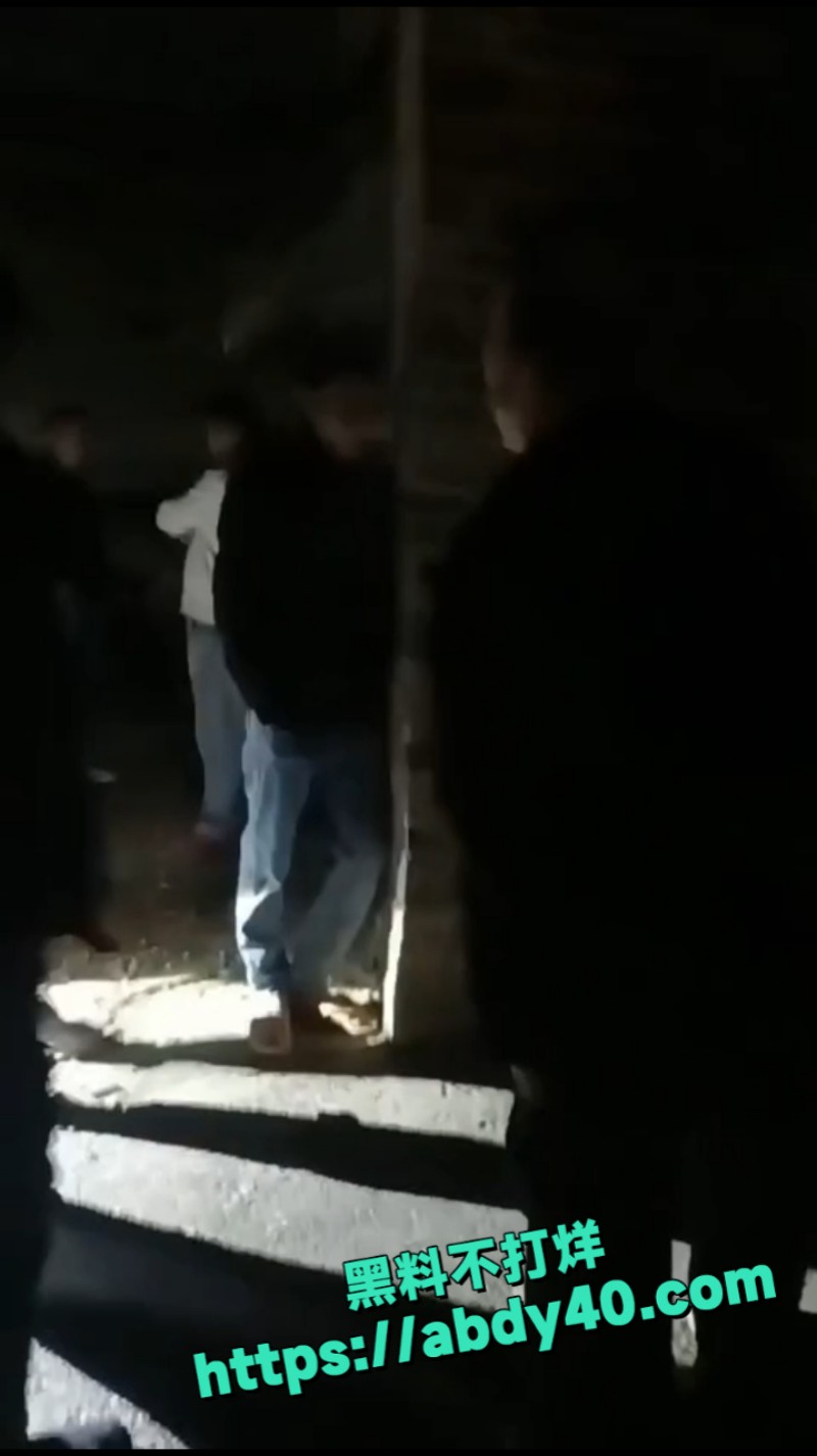一村人半夜捉贼 4