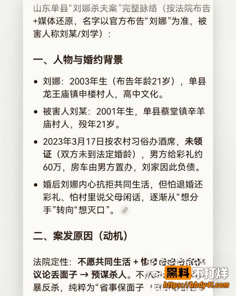 刘娜杀夫7