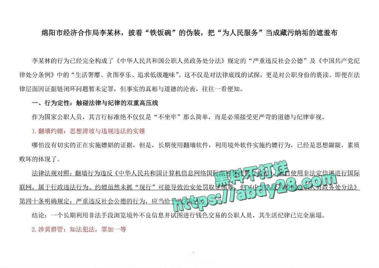 四川绵阳经济合作局公职人员李林林 4