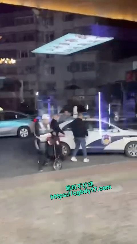 天津女子疑似出轨被抓4