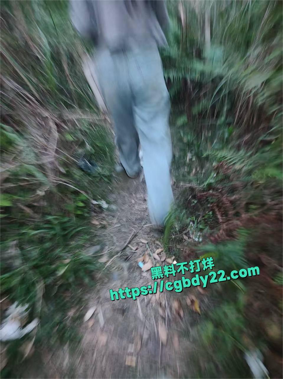现在都流行 野鸡了2