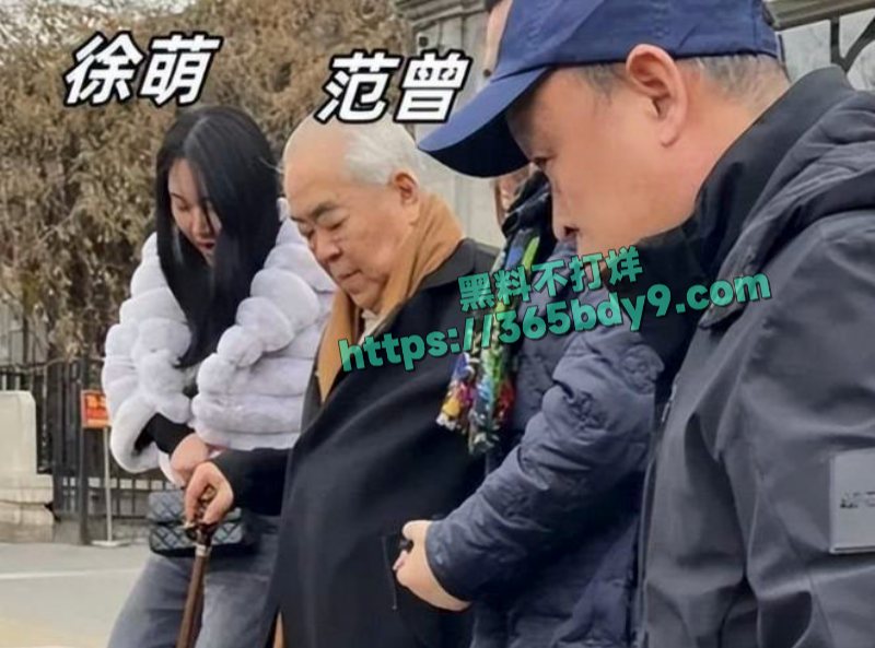 书画大家范曾小50岁娇妻被传出轨13