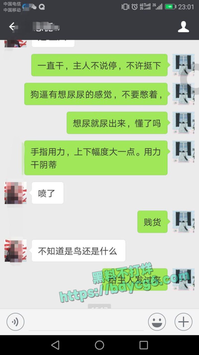 网调极品少女11