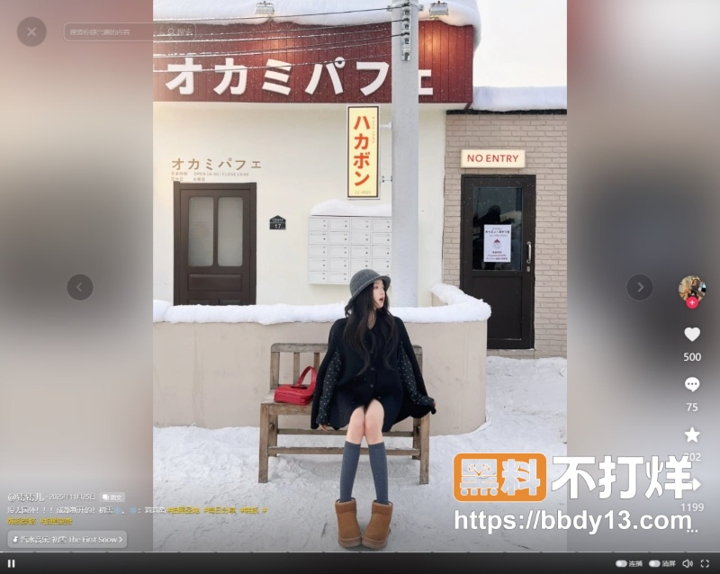 网红木木 6