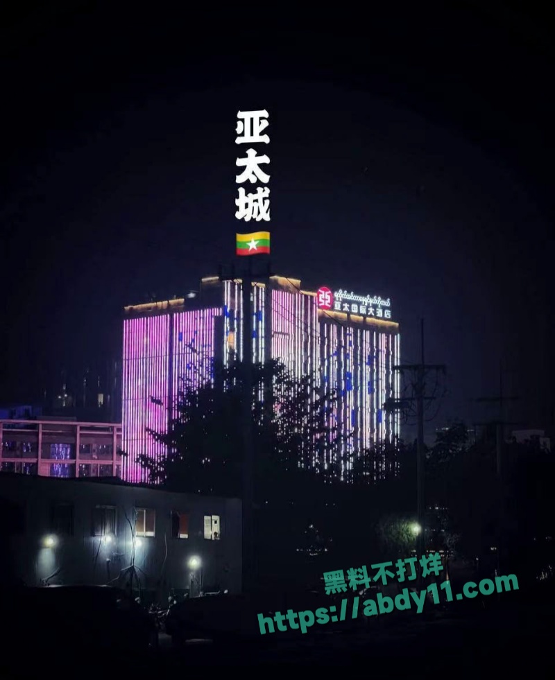 缅甸诈骗头目佘智江引渡回国 25