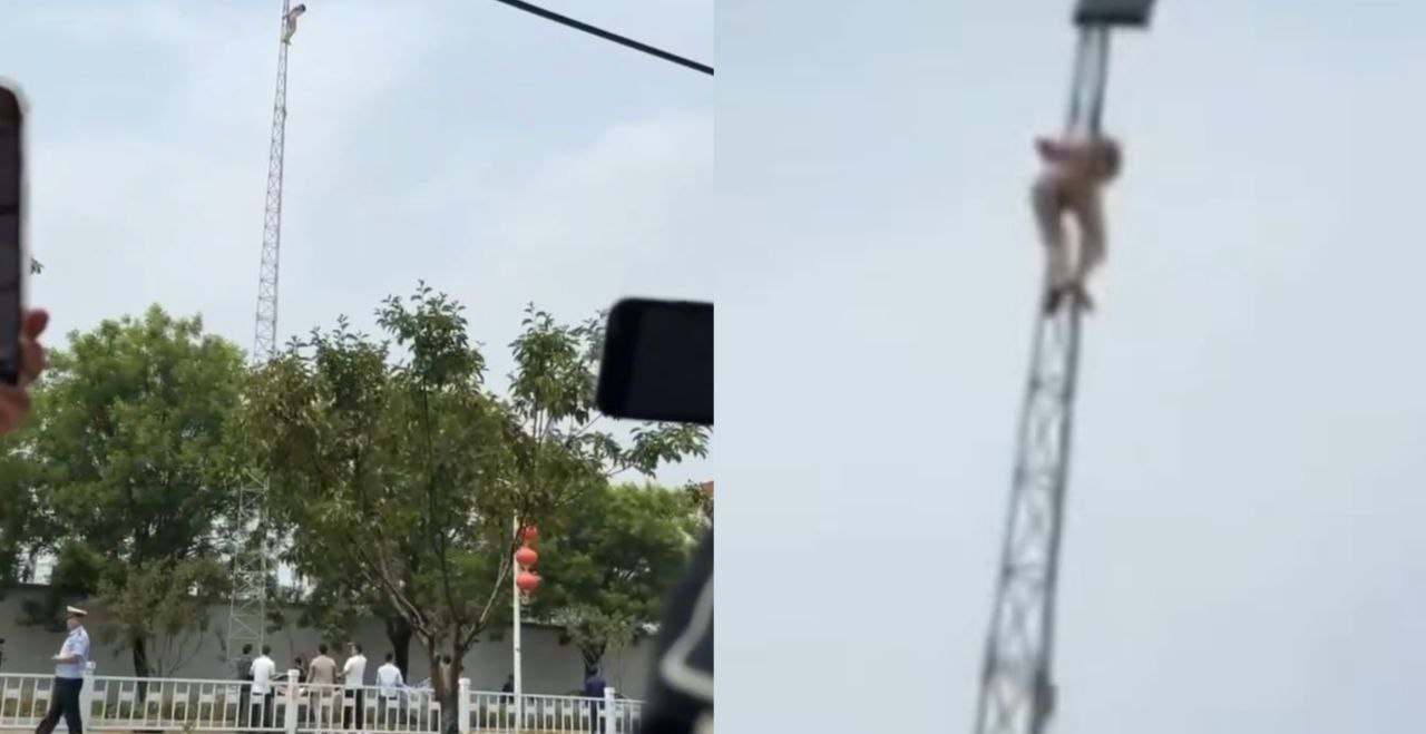 主人的任务 裸女捆绑在电线塔顶上 这么玩也太刺激了 就是容易被拘留啊妹子