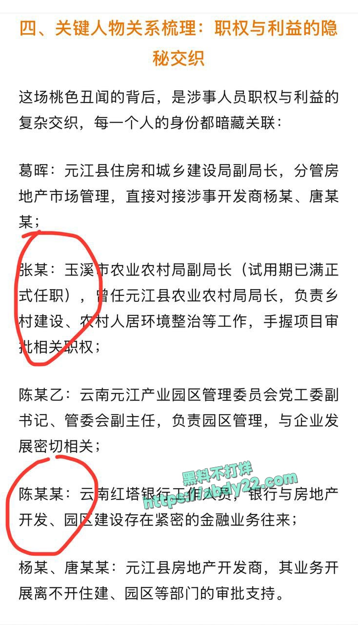 玉溪市元江县农业局副局长张颖出轨 9