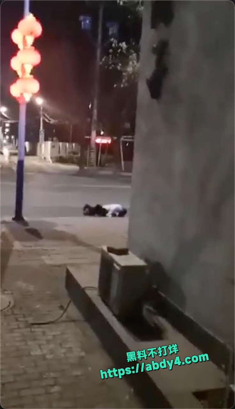 醉酒男女当街脱裤子性爱  2