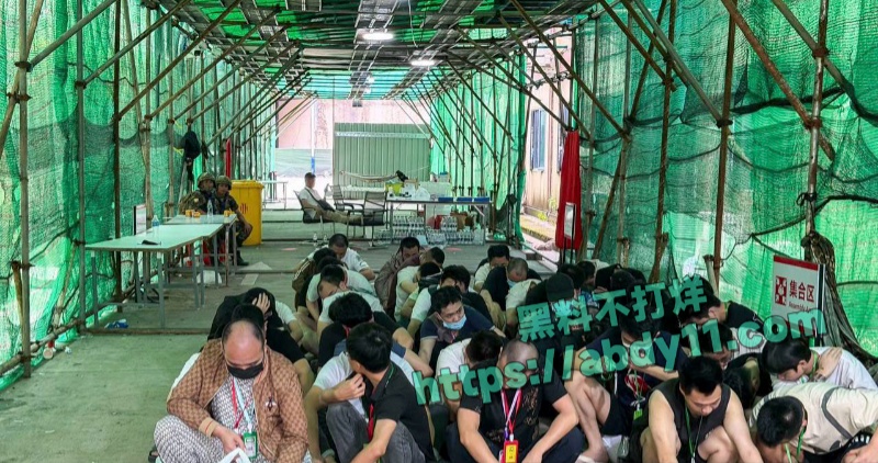 缅甸诈骗头目佘智江引渡回国 17