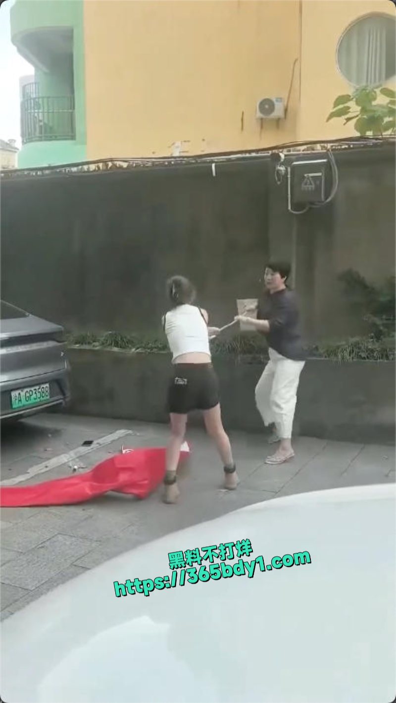 浙江嘉兴平湖滨水广场小三和原配撕起来了7