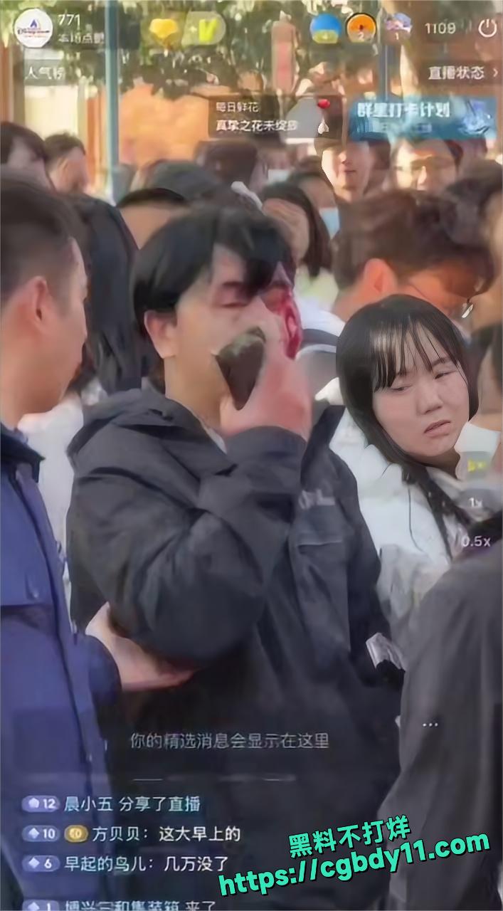 上海迪士尼黄牛3