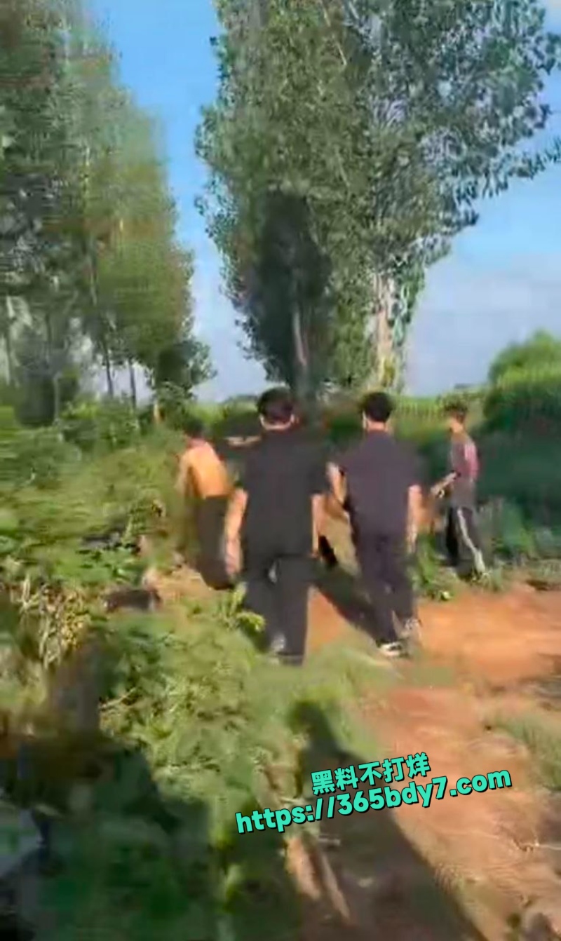 精神小伙霸凌老实人4