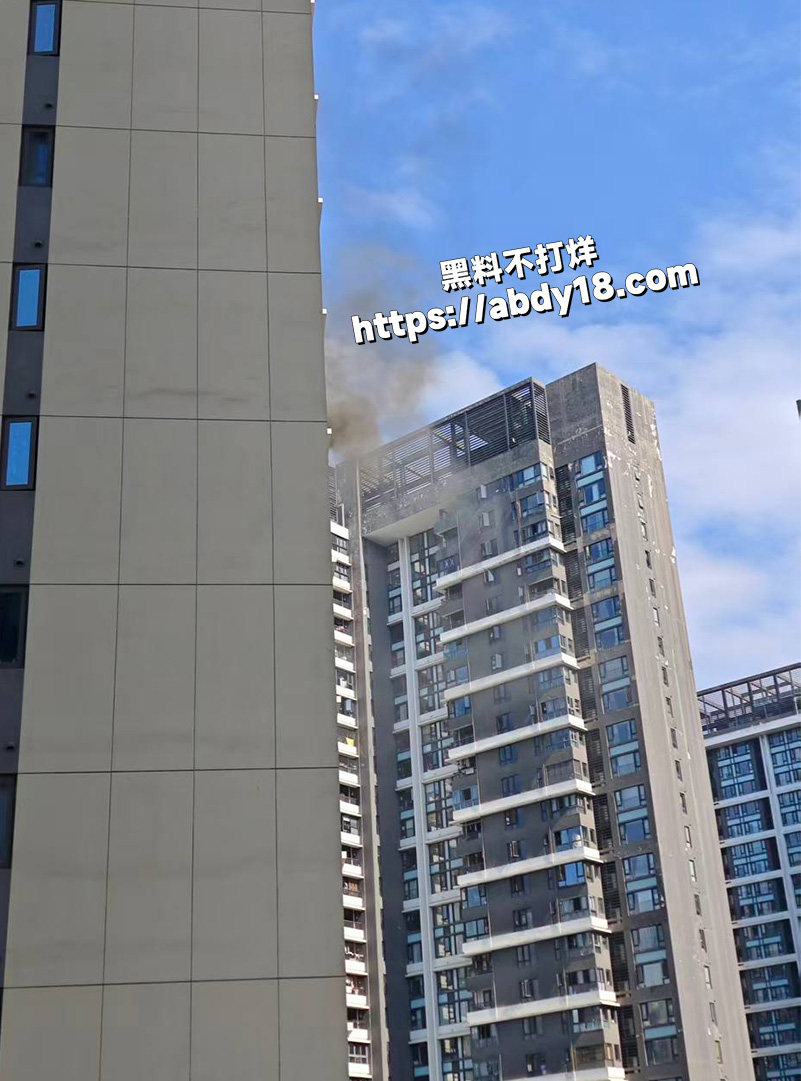 广东珠海玺悦湾点火自杀8