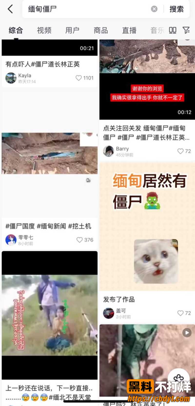 佤邦僵尸 缅甸僵尸8