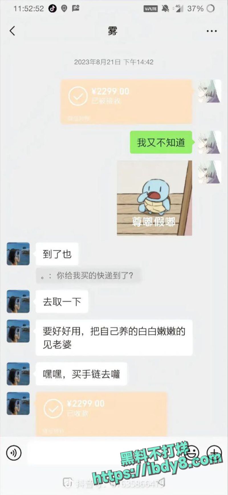 41.jpg