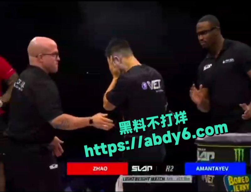 中国通背拳传人赵鸿刚参加UFC扇耳光大赛被对手KO6