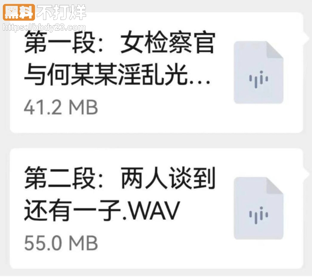 刘虎七年实名举报 王维丹至今未处理11