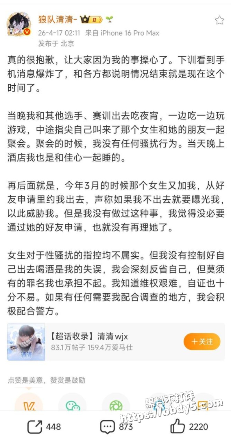 王者荣耀狼队清清19