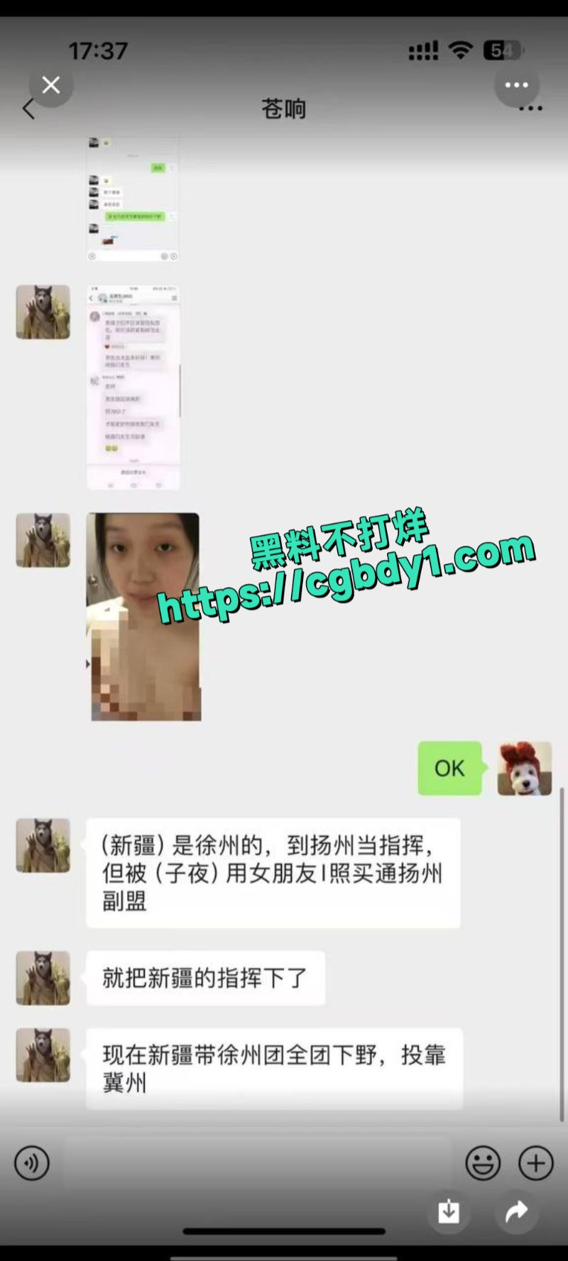 14.jpg