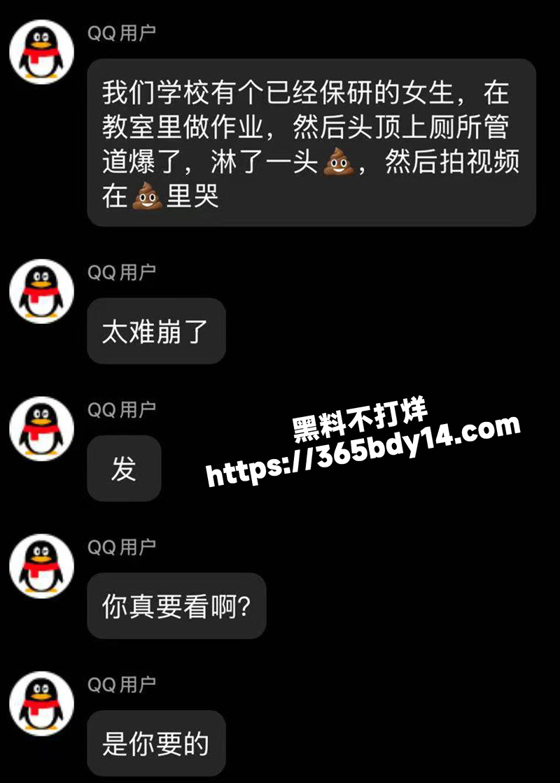 国美淋屎2