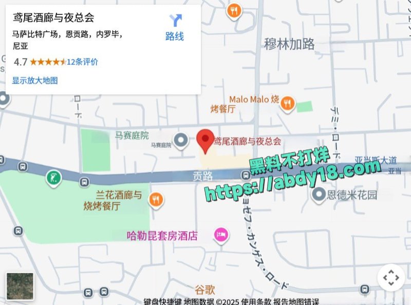 白人博主与黑人美女3