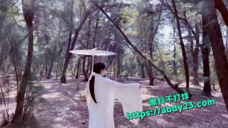 顶级福利姬  亦可姐姐  2